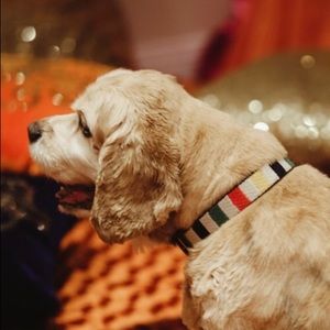 Meet your Posher, Rhea